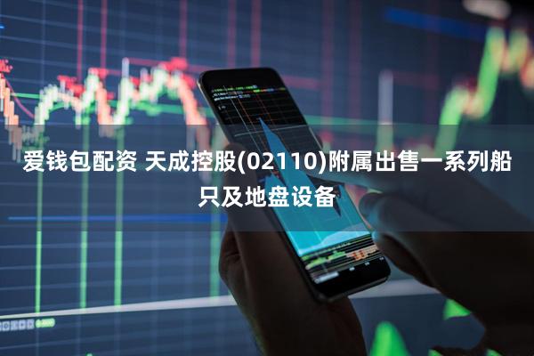 爱钱包配资 天成控股(02110)附属出售一系列船只及地盘设备