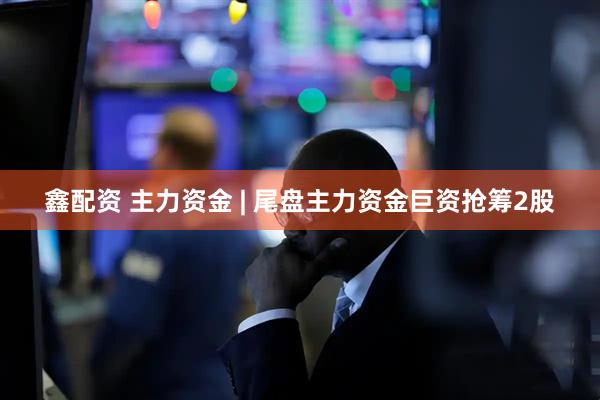 鑫配资 主力资金 | 尾盘主力资金巨资抢筹2股