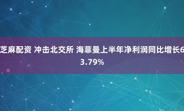 芝麻配资 冲击北交所 海菲曼上半年净利润同比增长63.79%